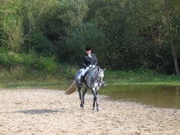 LF HSC - 0412_web